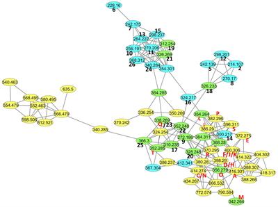 Large Diversity and Original Structures of Acyl-Homoserine Lactones in Strain MOLA 401, a Marine Rhodobacteraceae Bacterium